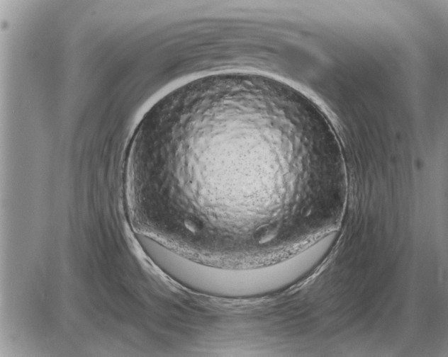 X0000085271534200703231728