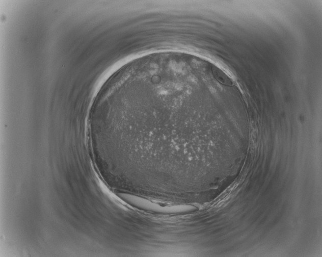 X0000085271535200703231728