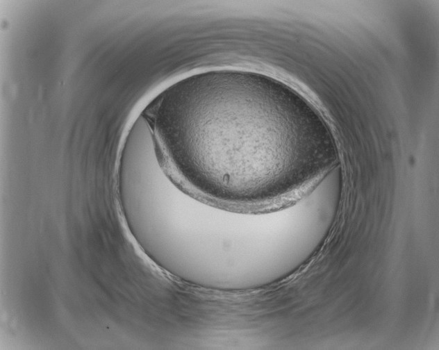 X0000085271536200703231728