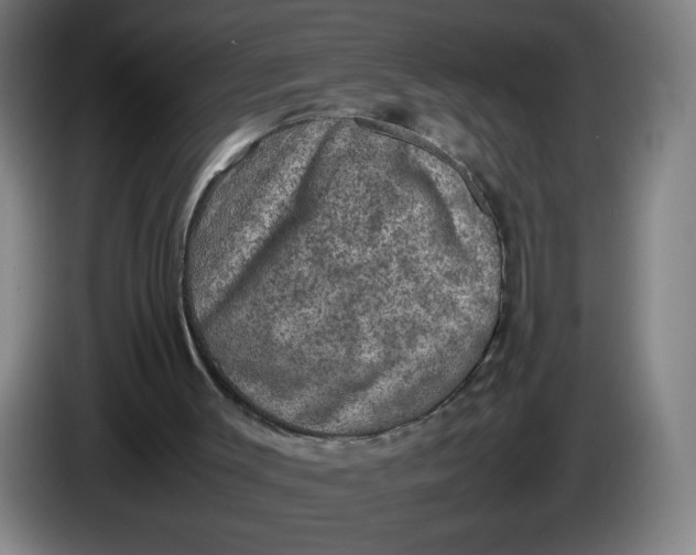 X0000085270003200703301904