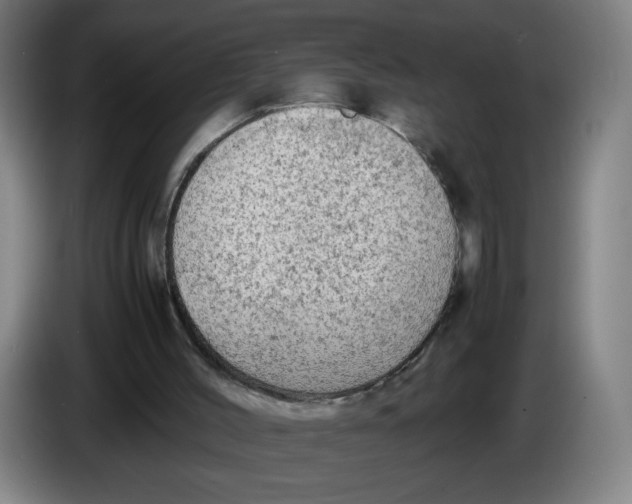 X0000085270004200703301904