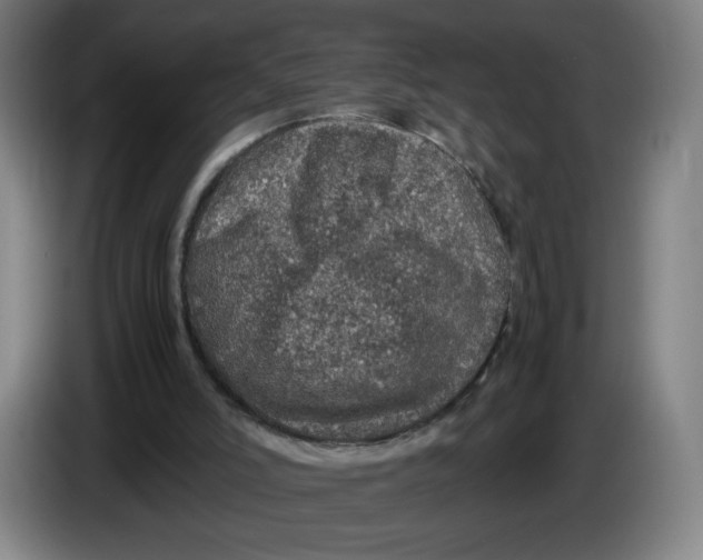 X0000085270006200703301904