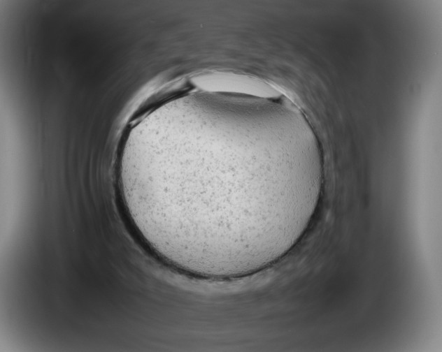 X0000085270007200703301904