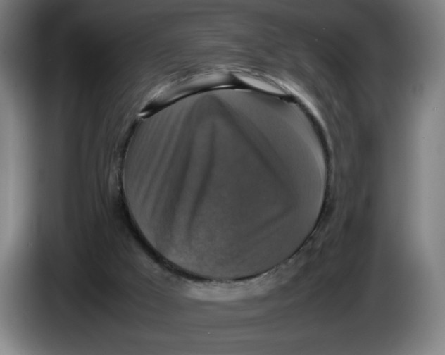 X0000085270009200703301904