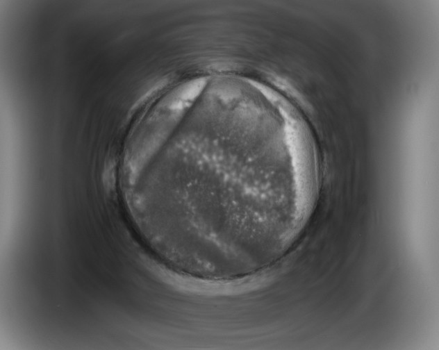 X0000085270010200703301904