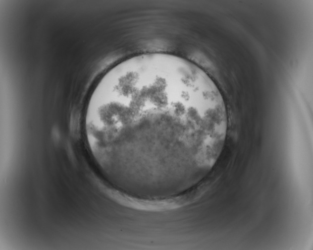 X0000085270012200703301904