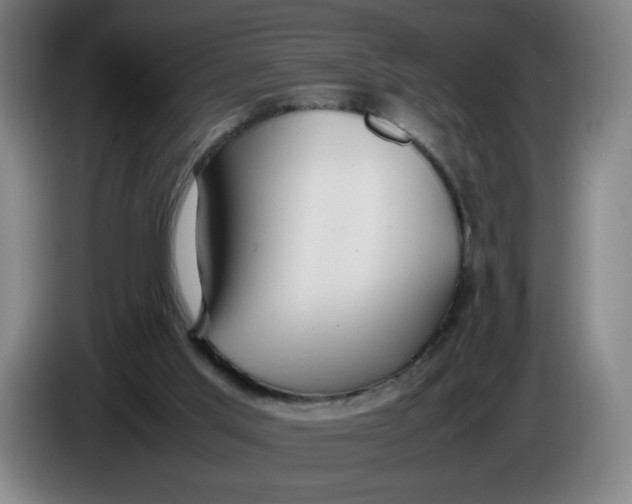 X0000085270013200703301904