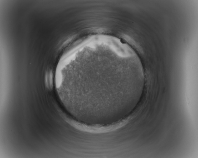 X0000085270014200703301904