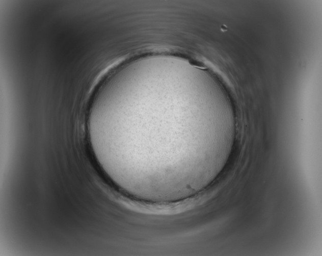 X0000085270015200703301904