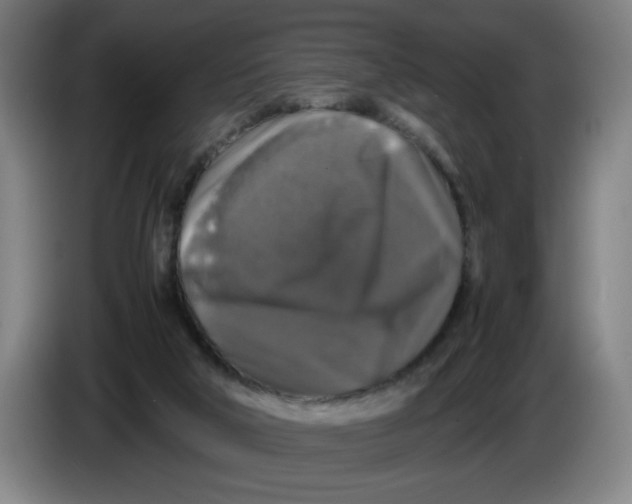 X0000085270018200703301904