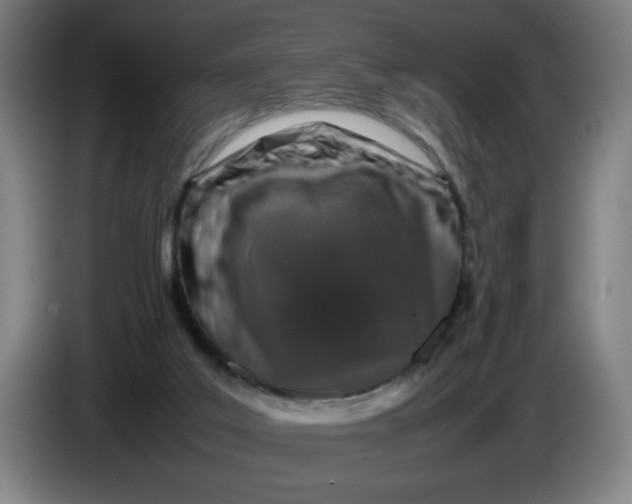 X0000085270019200703301904