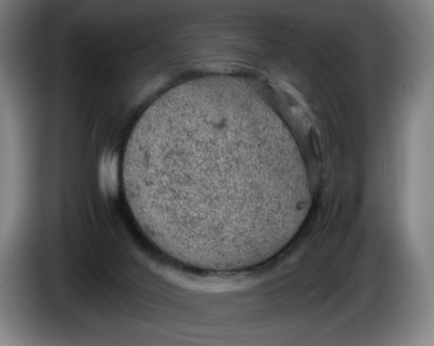 X0000085270020200703301904