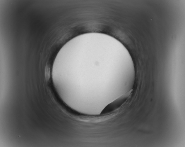 X0000085270021200703301904