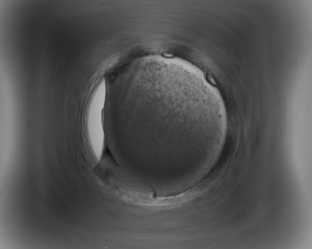 X0000085270023200703301904