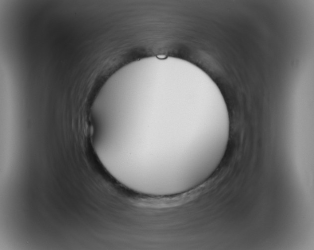 X0000085270025200703301904