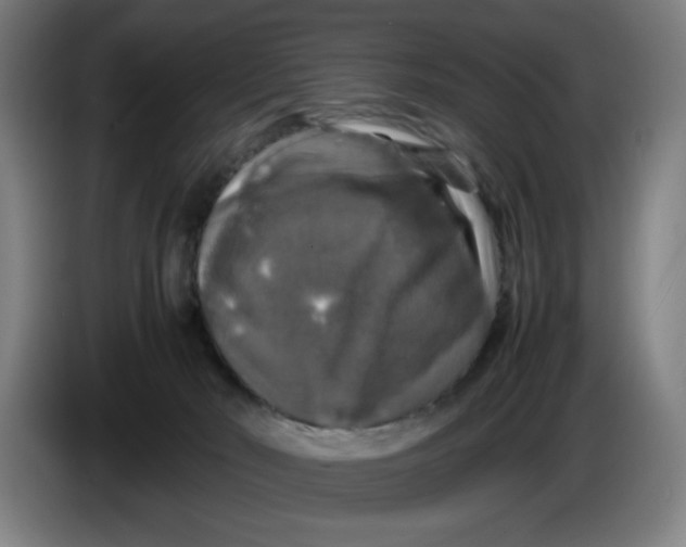 X0000085270030200703301904