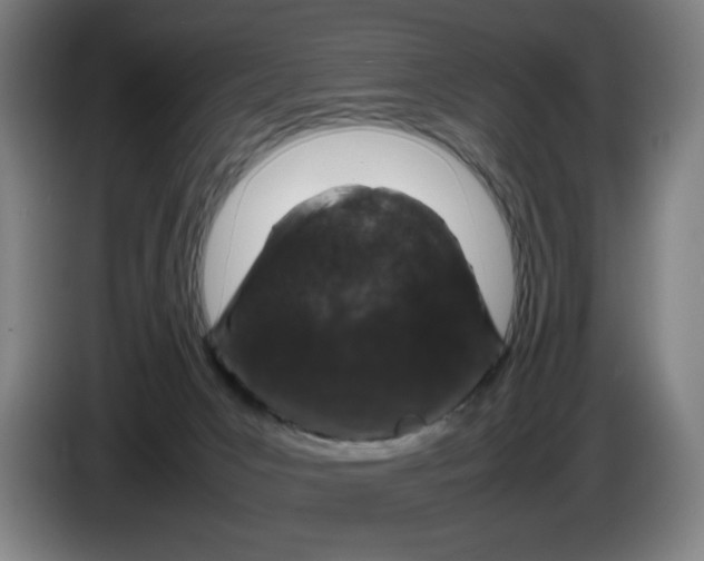 X0000085270031200703301904