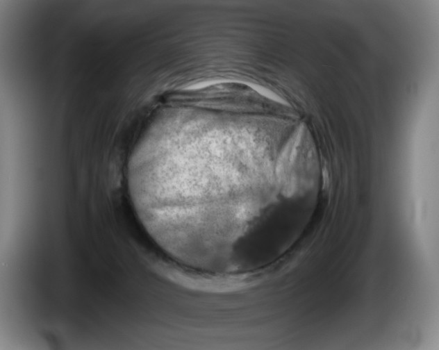 X0000085270032200703301904