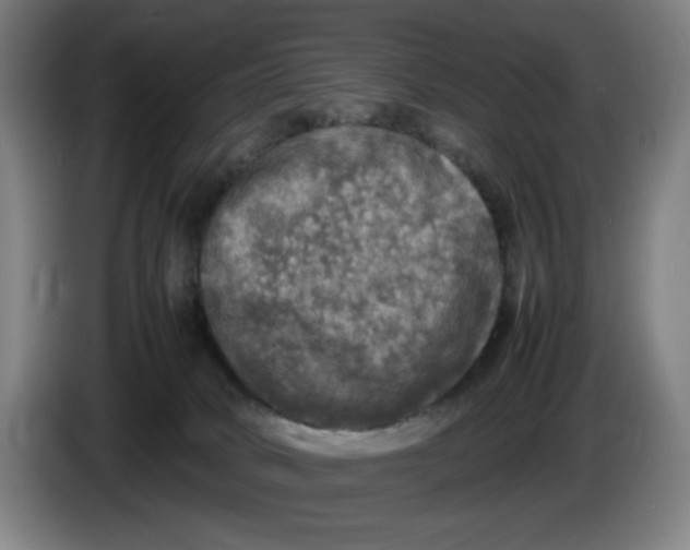 X0000085270034200703301904