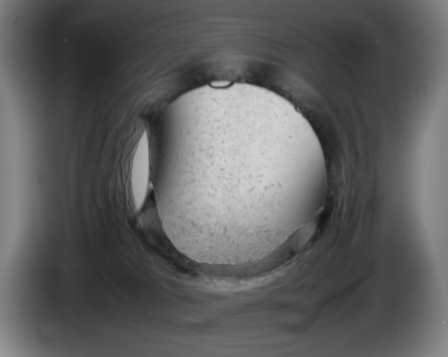 X0000085270037200703301904