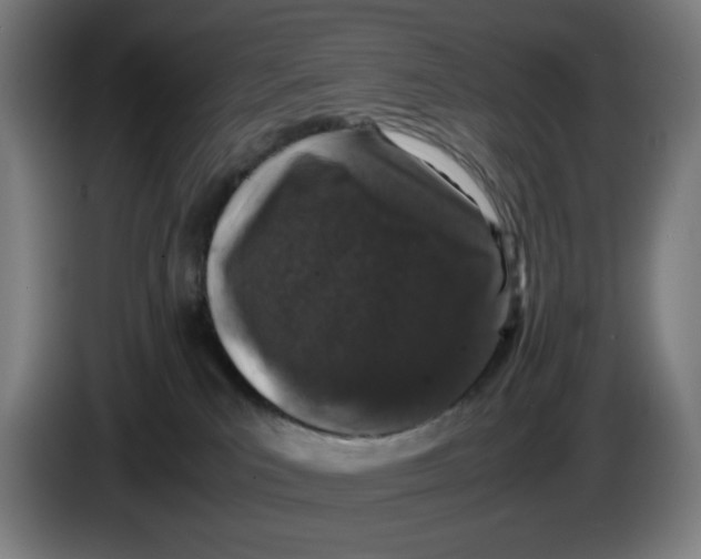 X0000085270039200703301904