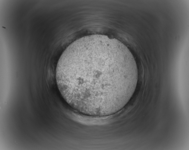 X0000085270040200703301904