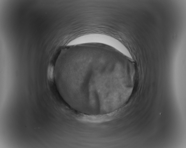 X0000085270041200703301904