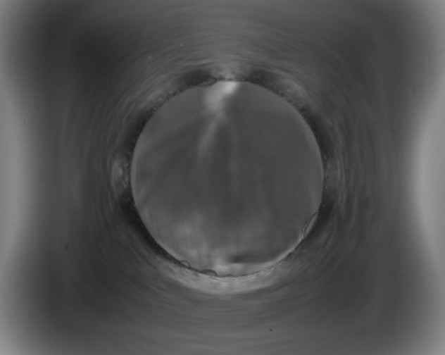 X0000085270043200703301904