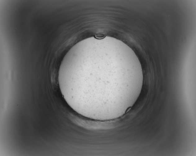 X0000085270044200703301904