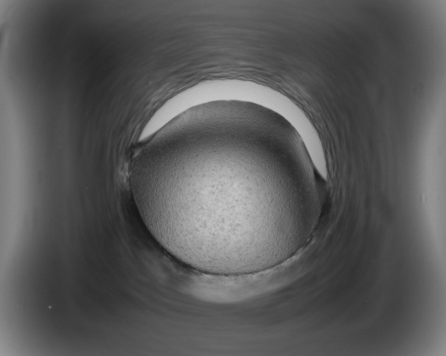 X0000085270045200703301904