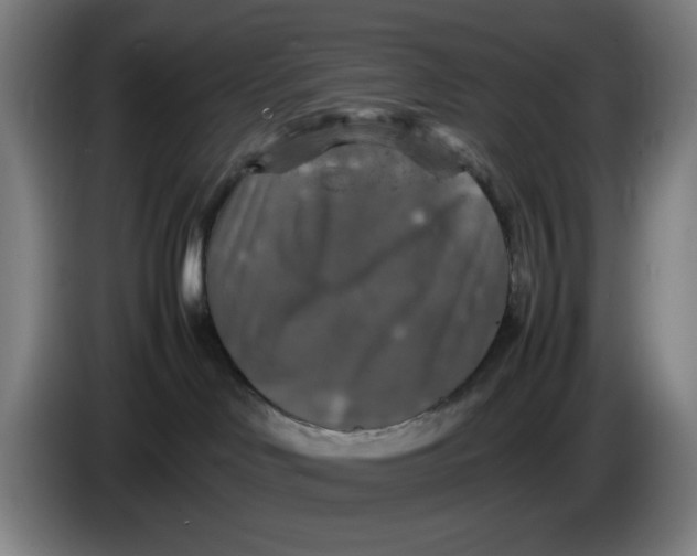 X0000085270046200703301903