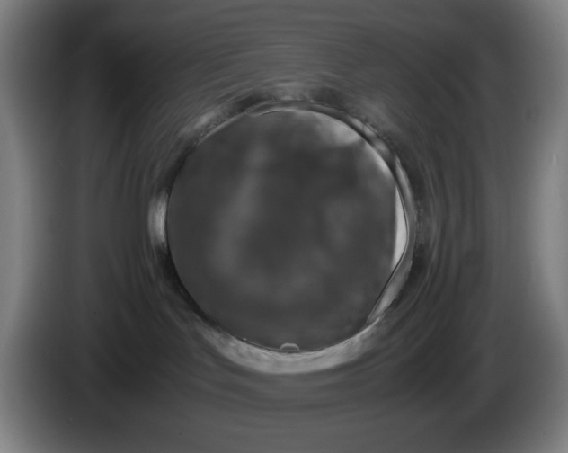 X0000085270047200703301903