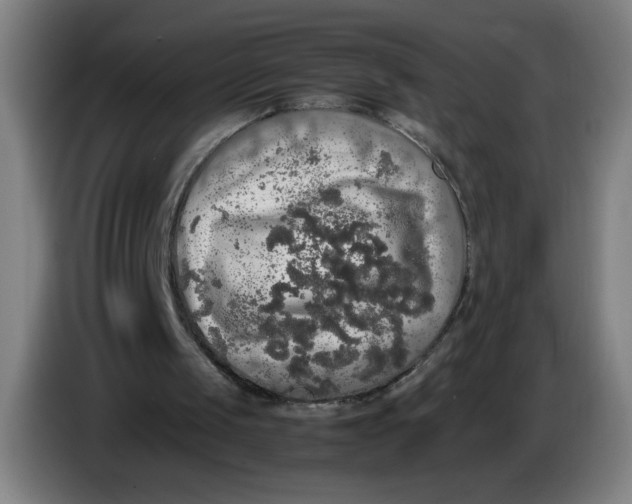 X0000085270049200703301903