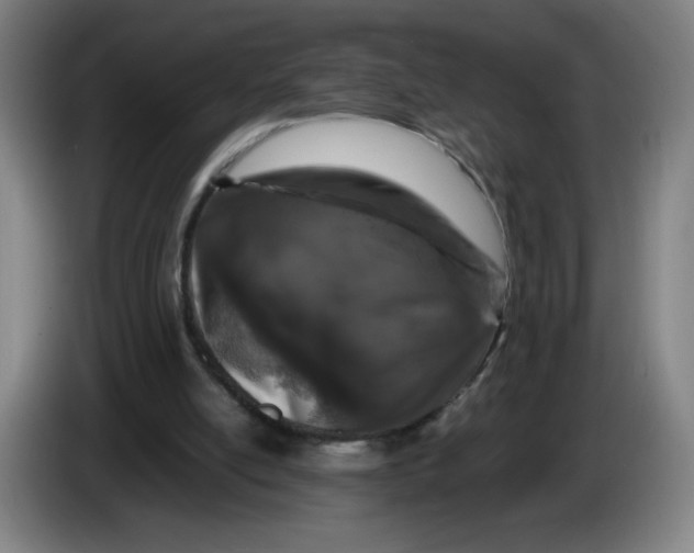 X0000085270054200703301903