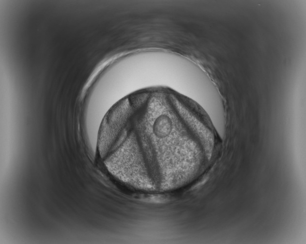 X0000085270056200703301903