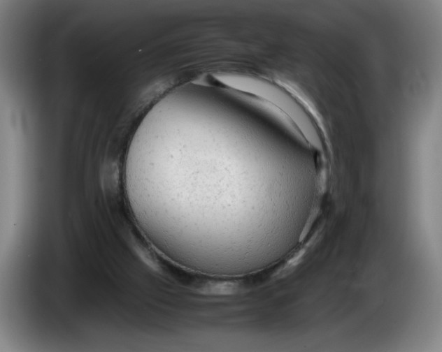 X0000085270057200703301903