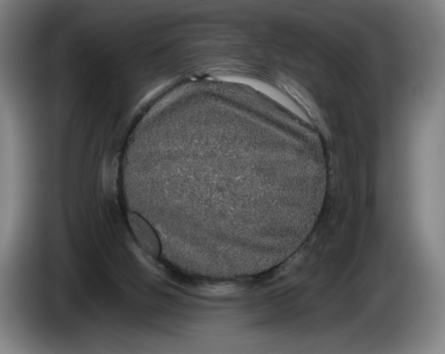 X0000085270058200703301903