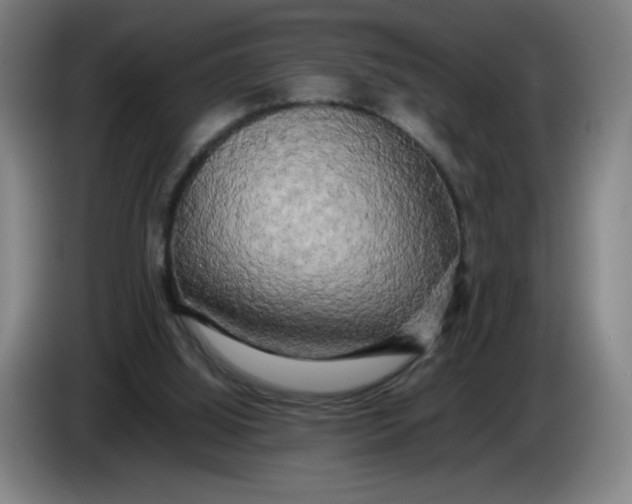 X0000085270060200703301903