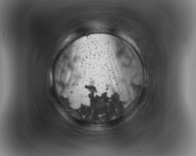 X0000085270061200703301903