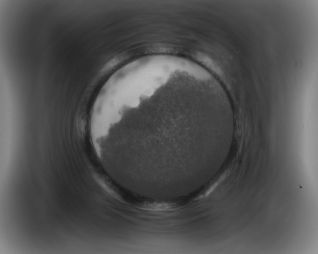 X0000085270063200703301903