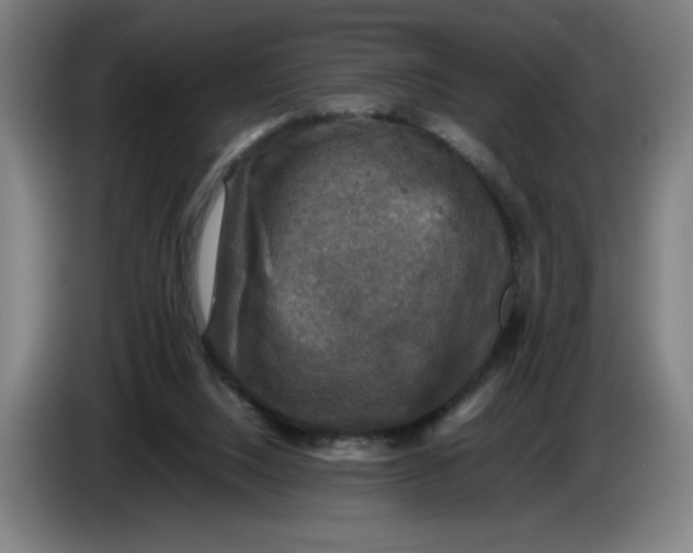 X0000085270064200703301903