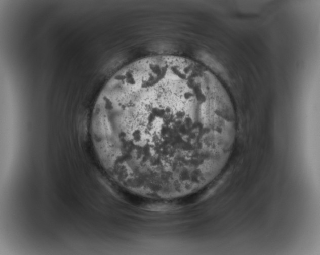 X0000085270065200703301903