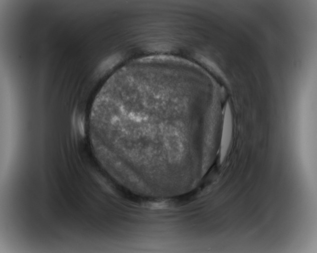 X0000085270068200703301903