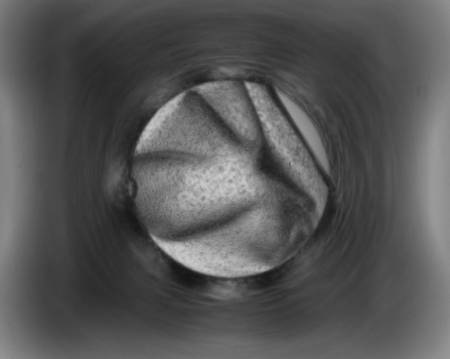 X0000085270079200703301903