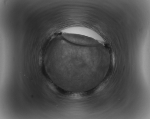 X0000085270080200703301903