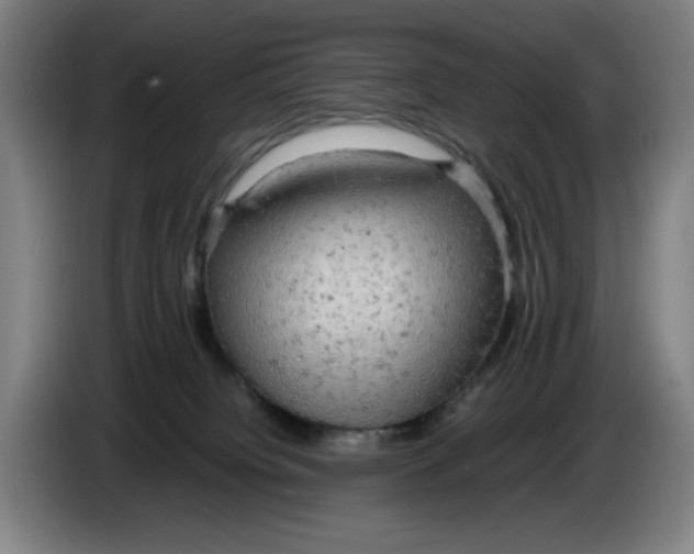 X0000085270084200703301903