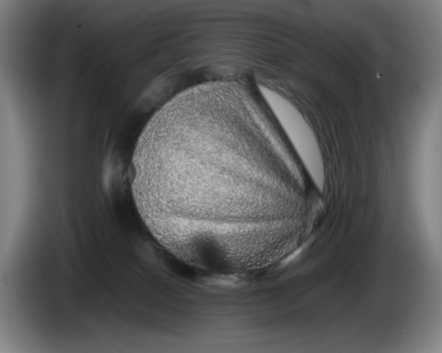 X0000085270086200703301903