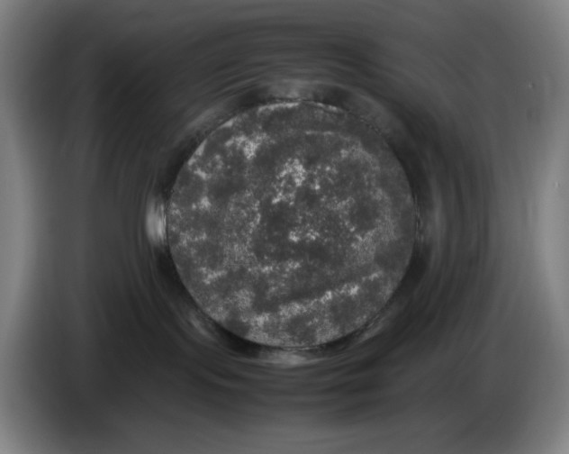 X0000085270095200703301903