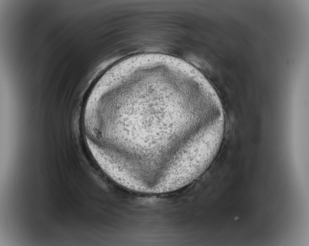 X0000085270098200703301903