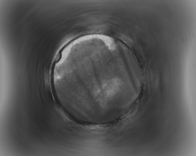 X0000085270100200703301903